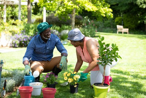 Easy Gardening for the Elderly - Millercare